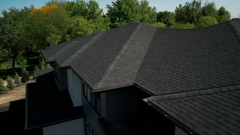 Best Steel Roofing  in Cedar Heights, MD